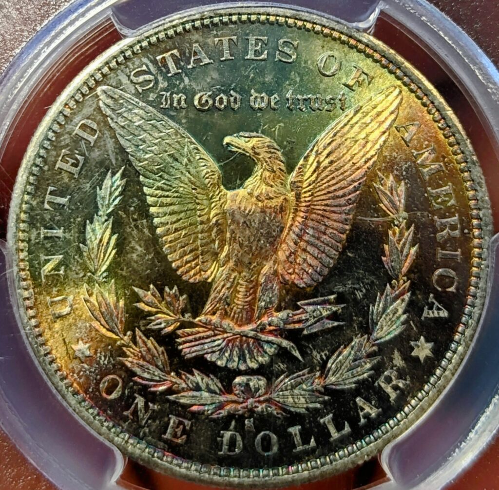 1880-S Morgan Dollar MS63 PCGS Rainbow Tone – Rare Coins Of Raleigh